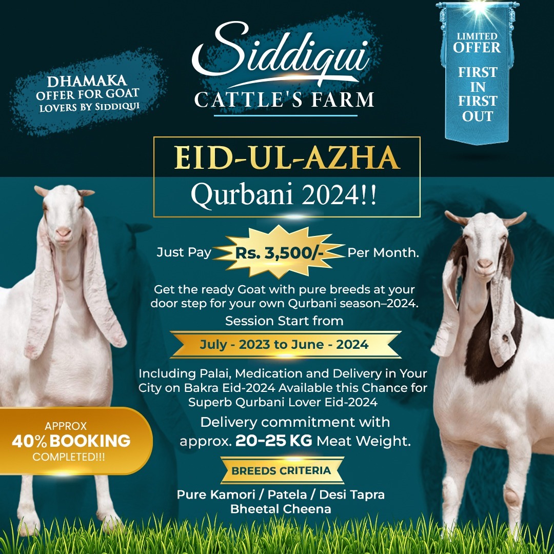 Siddiqui Cattle Farm — Eid Campaign