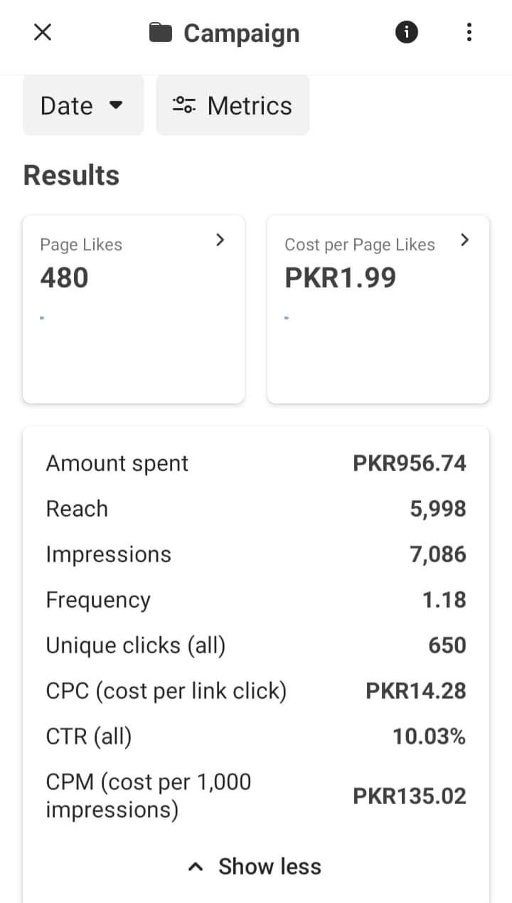 Campaign 3 — Page Likes