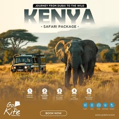 Kenya Safari — Wildlife Package